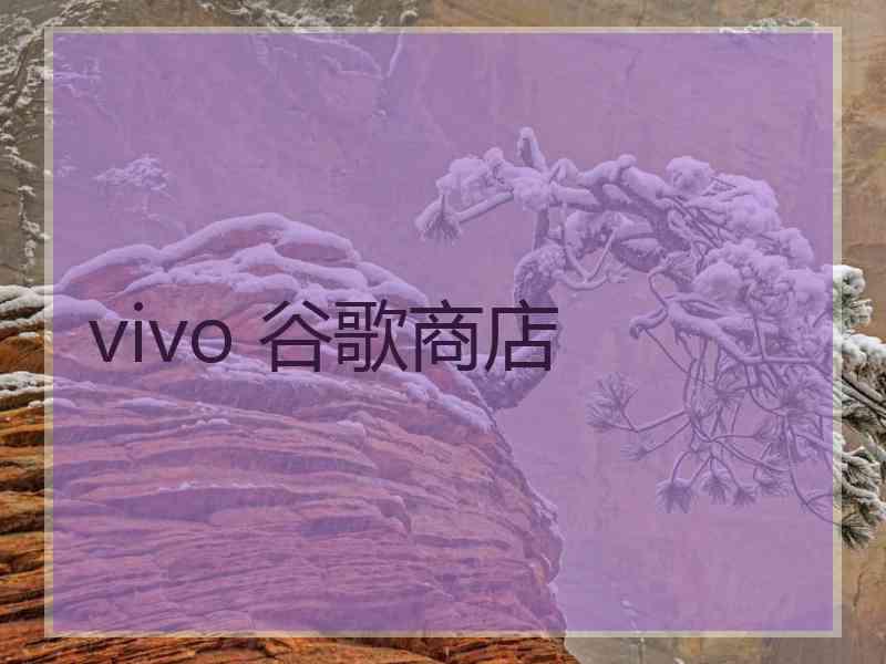vivo 谷歌商店