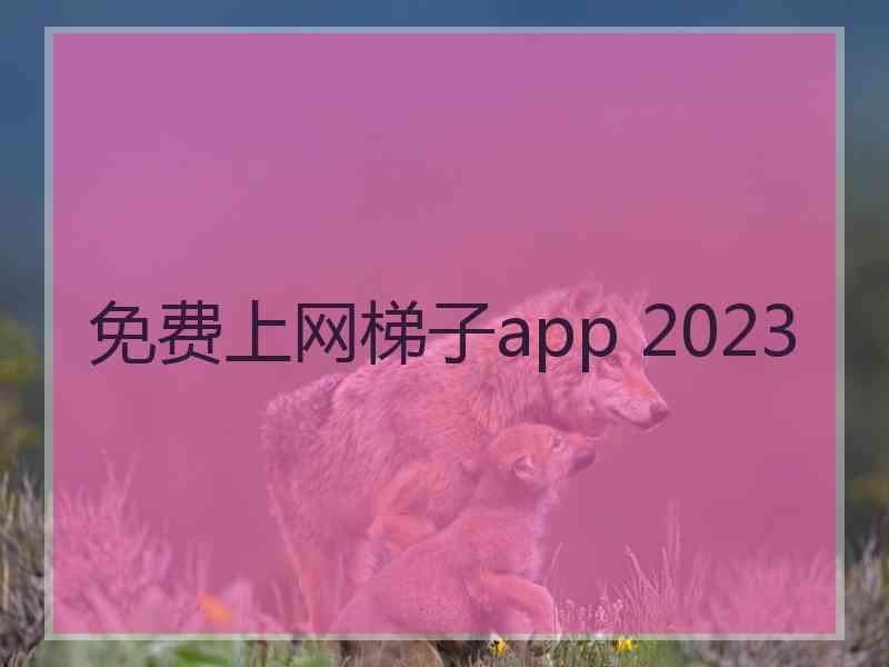 免费上网梯子app 2023