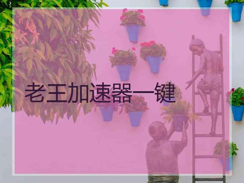 老王加速器一键