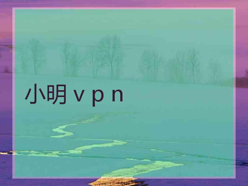 小明 v p n