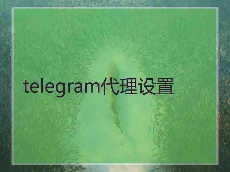 telegram代理设置