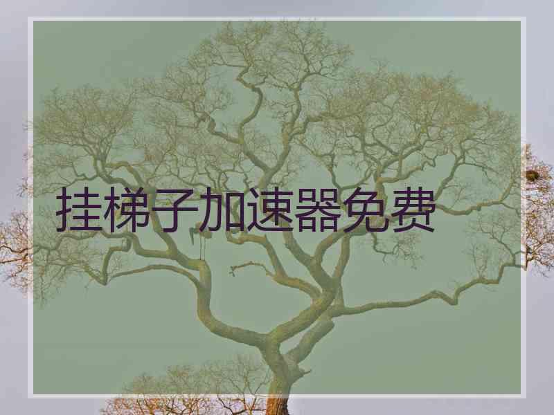 挂梯子加速器免费