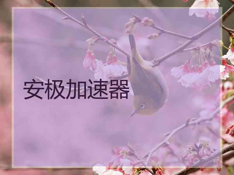 安极加速器