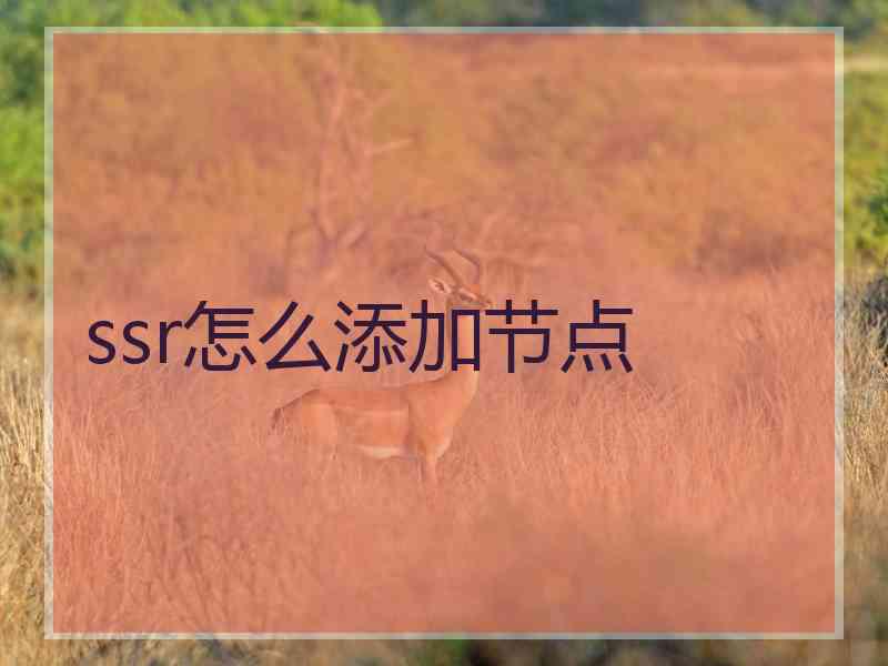 ssr怎么添加节点