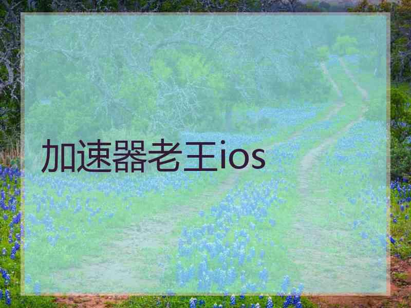 加速器老王ios
