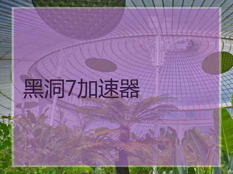 黑洞7加速器