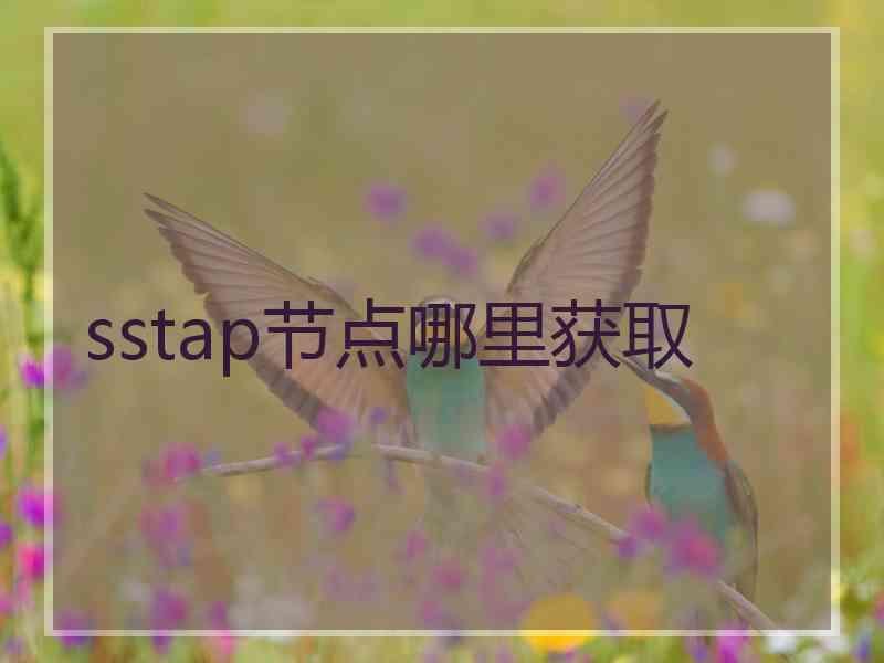sstap节点哪里获取