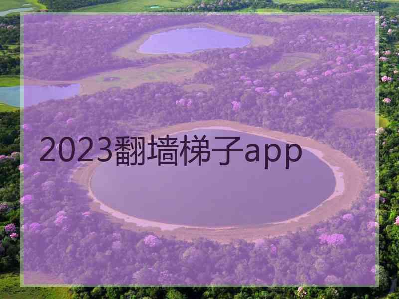 2023翻墙梯子app