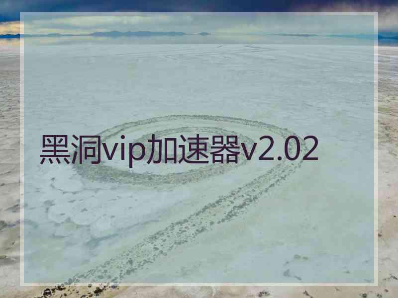 黑洞vip加速器v2.02