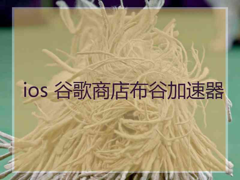 ios 谷歌商店布谷加速器