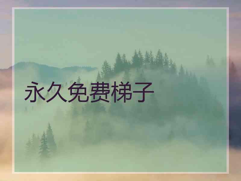 永久免费梯子