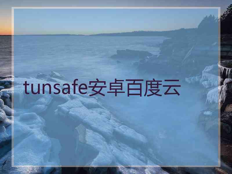 tunsafe安卓百度云