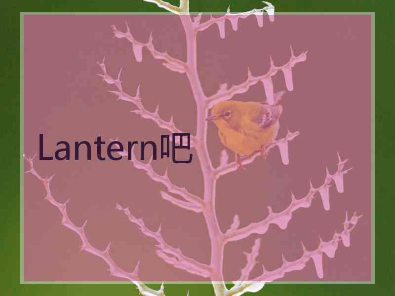 Lantern吧
