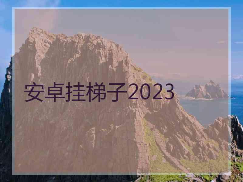 安卓挂梯子2023