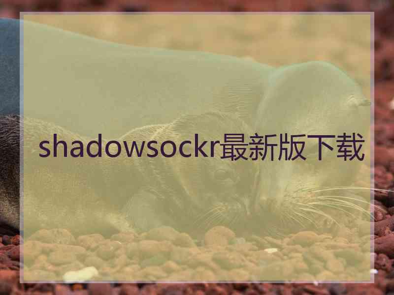 shadowsockr最新版下载