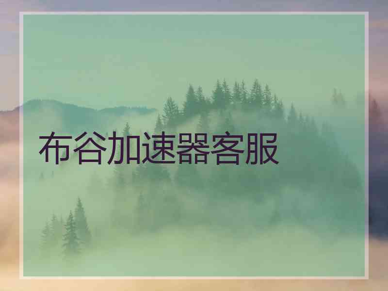 布谷加速器客服