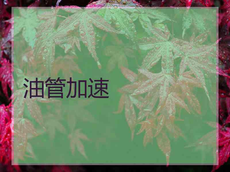 油管加速