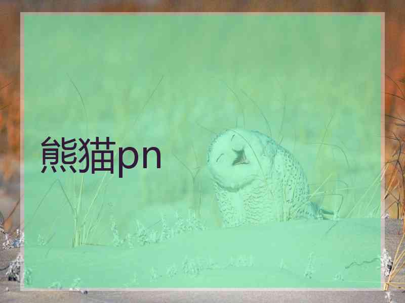 熊猫pn