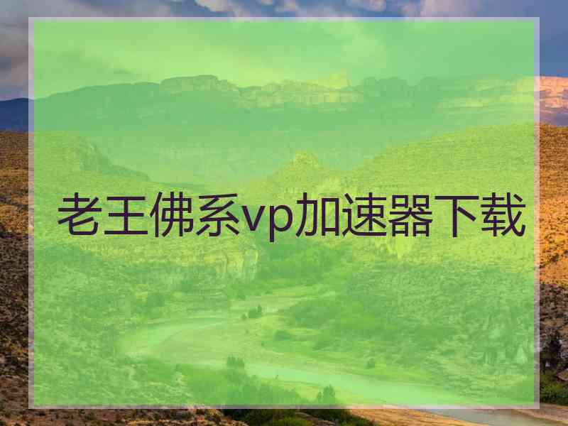 老王佛系vp加速器下载