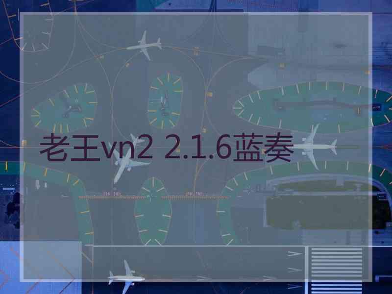老王vn2 2.1.6蓝奏