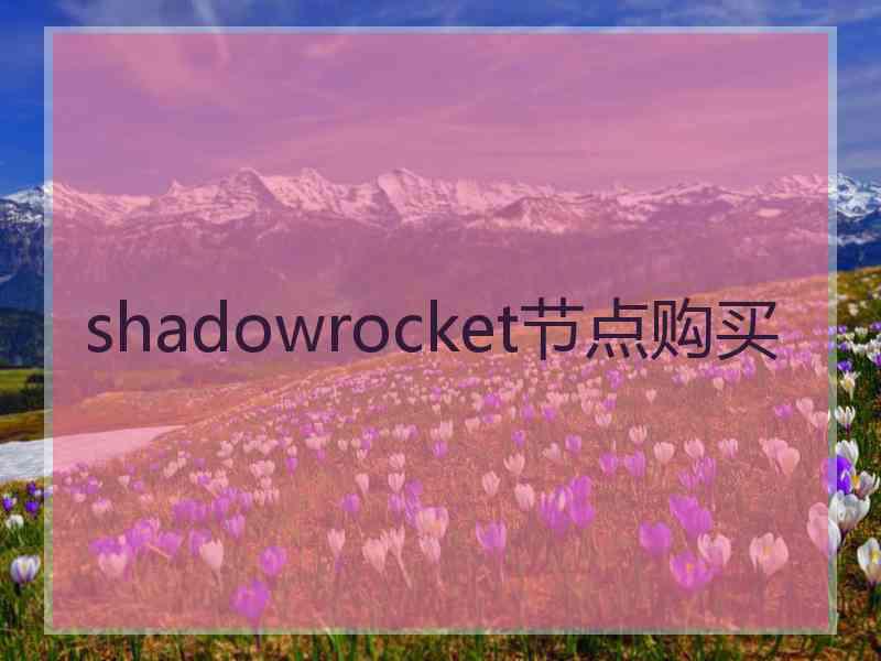 shadowrocket节点购买