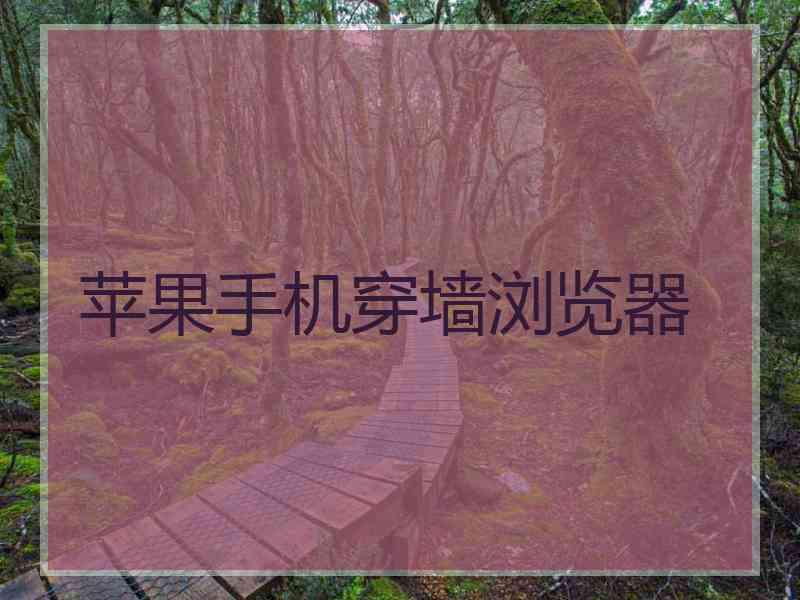 苹果手机穿墙浏览器