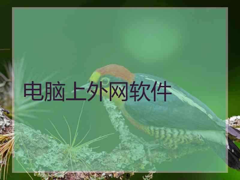 电脑上外网软件