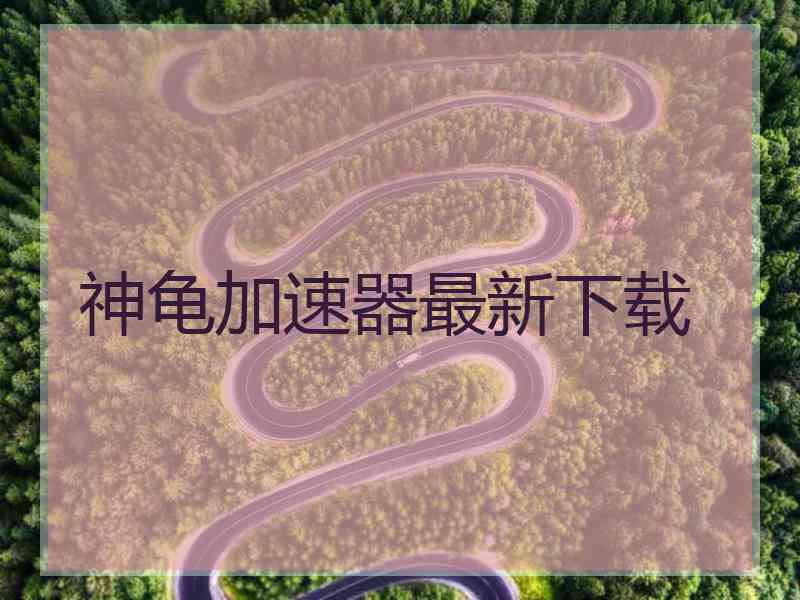 神龟加速器最新下载