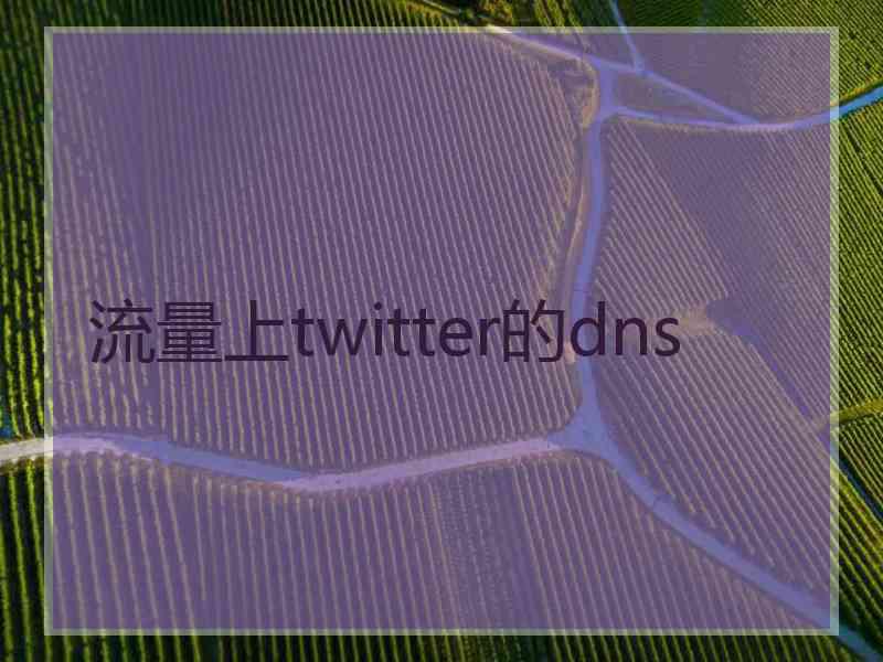 流量上twitter的dns