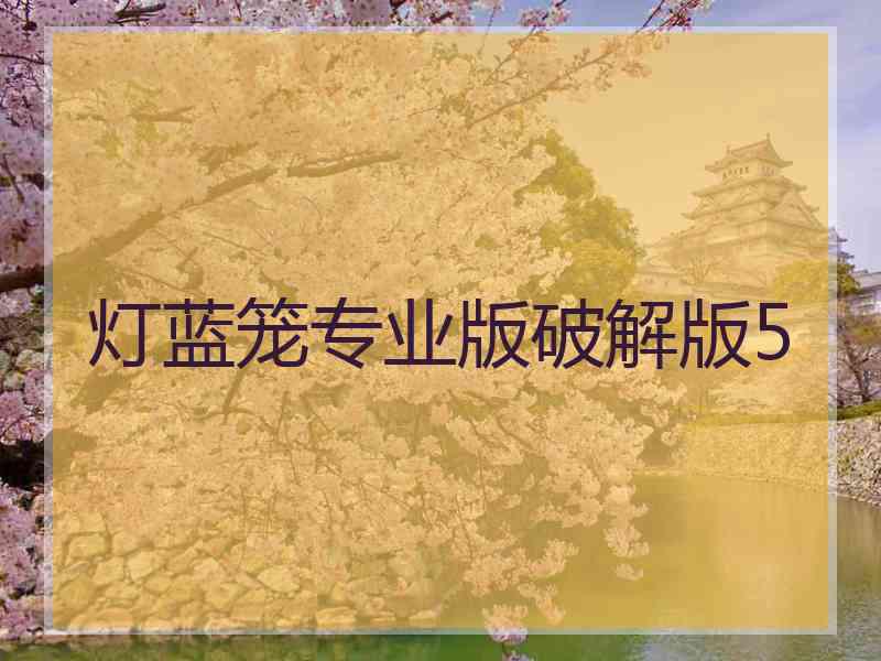 灯蓝笼专业版破解版5