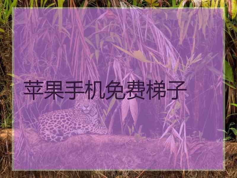 苹果手机免费梯子