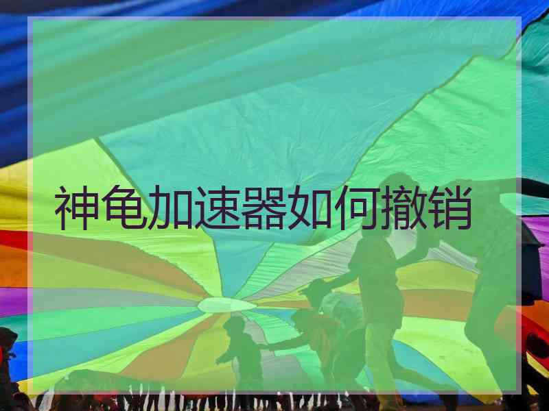 神龟加速器如何撤销