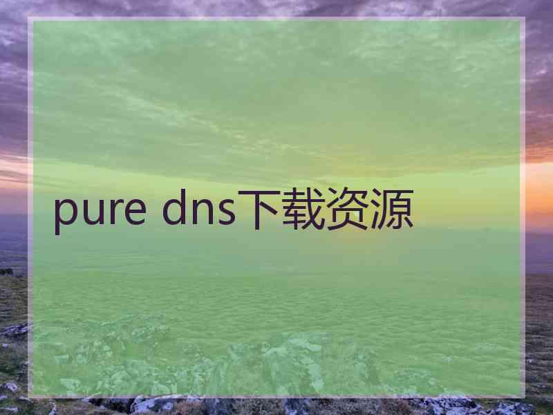 pure dns下载资源