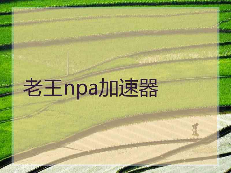 老王npa加速器