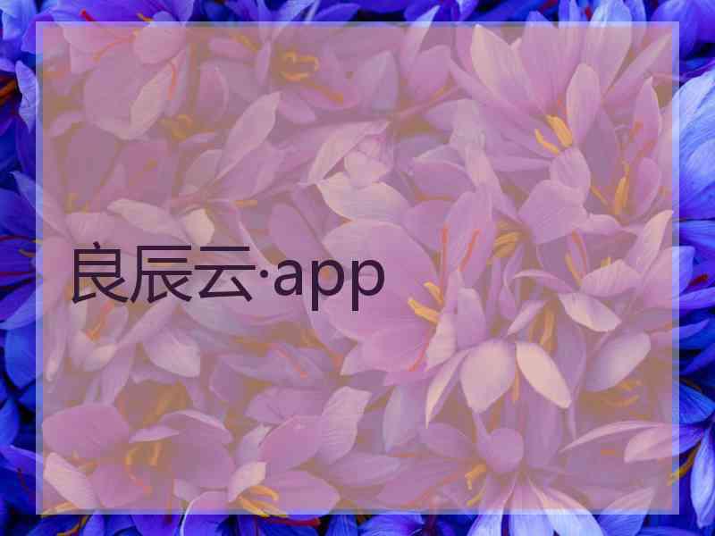 良辰云·app
