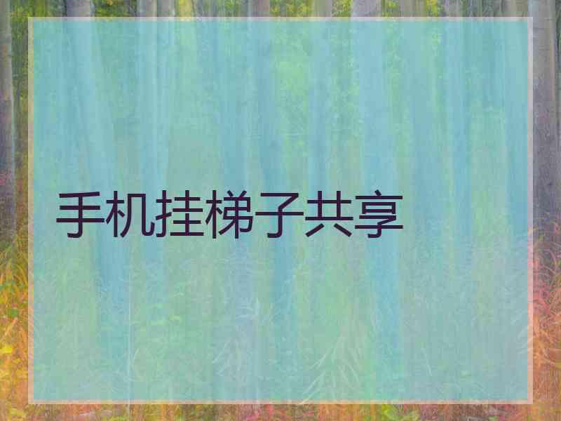 手机挂梯子共享