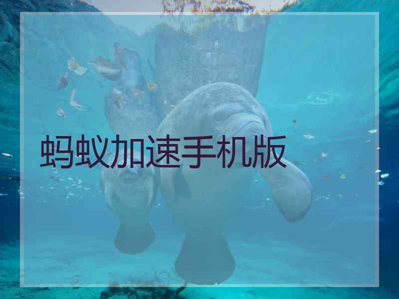 蚂蚁加速手机版