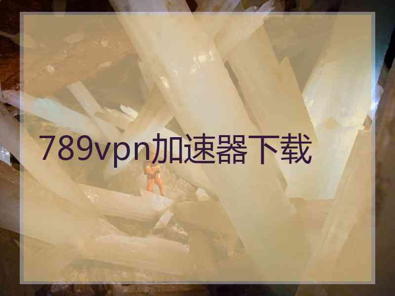 789vpn加速器下载