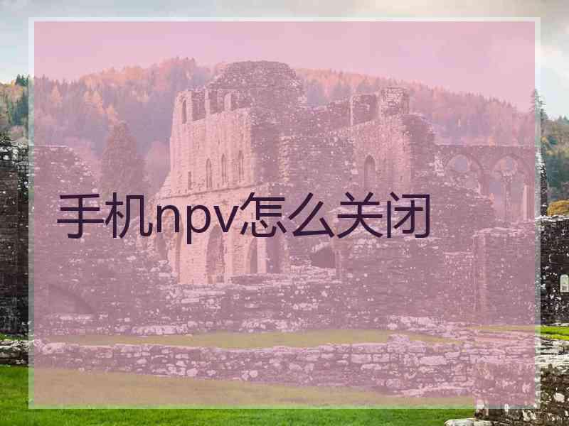 手机npv怎么关闭