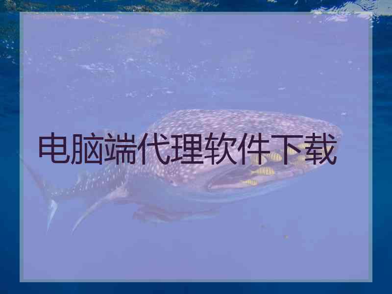电脑端代理软件下载