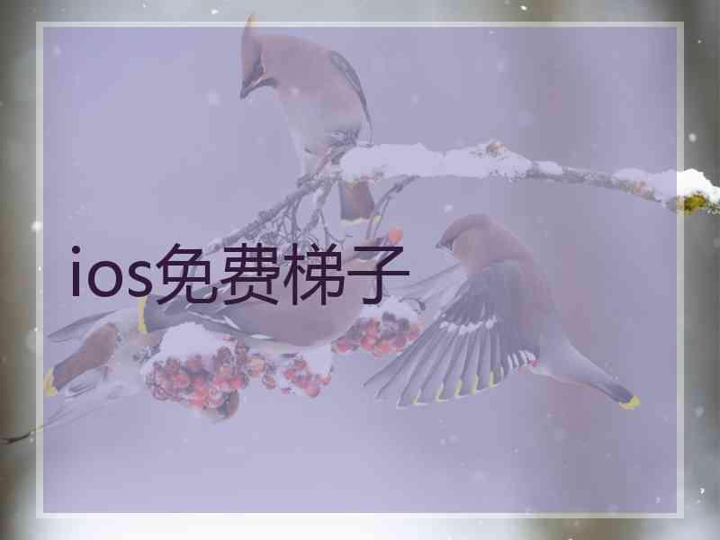 ios免费梯子
