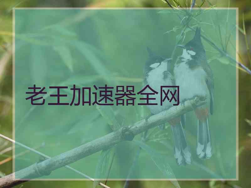 老王加速器全网