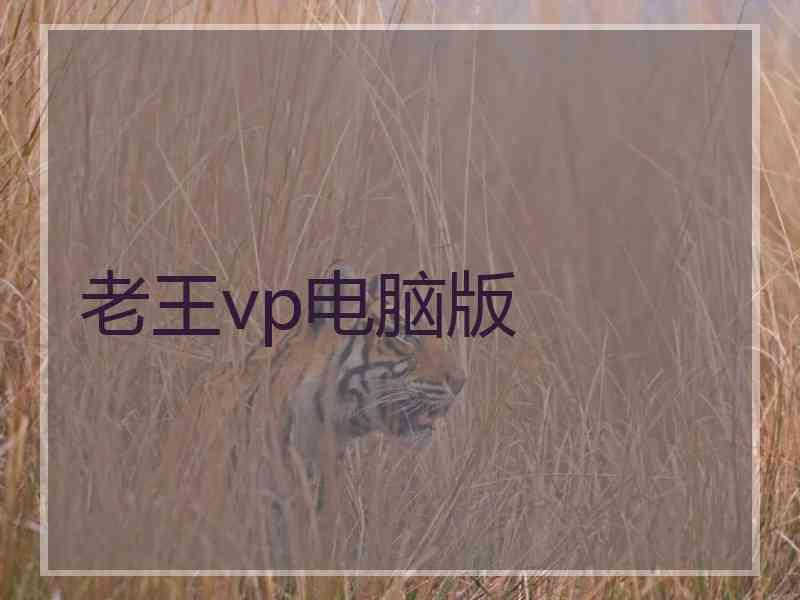 老王vp电脑版
