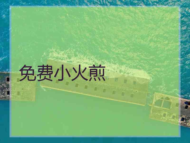 免费小火煎