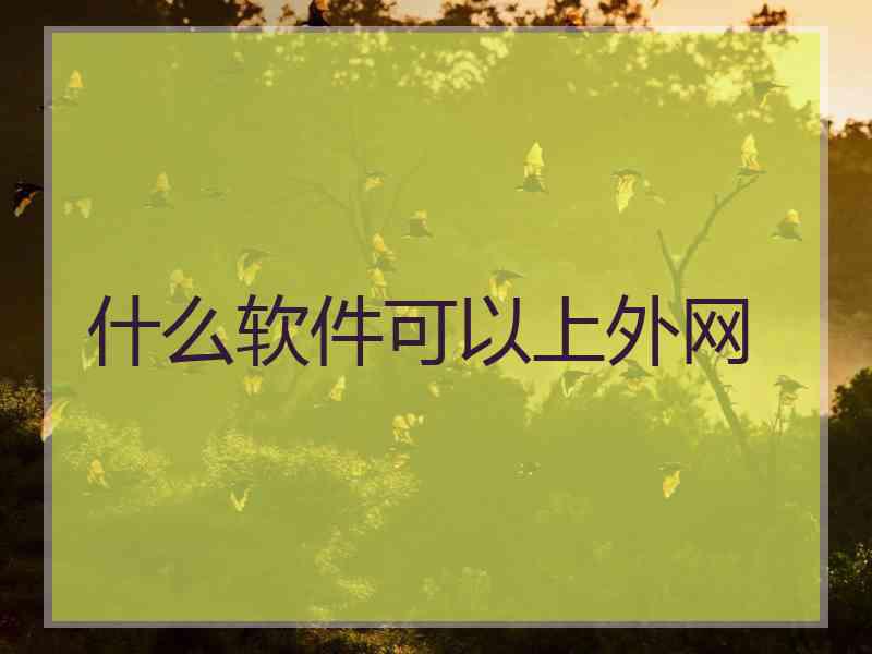 什么软件可以上外网