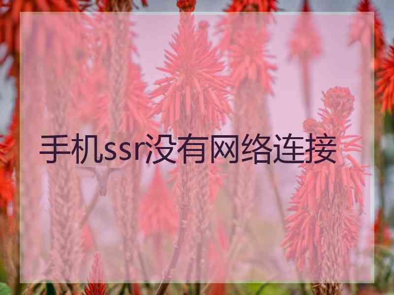 手机ssr没有网络连接