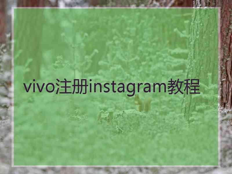 vivo注册instagram教程