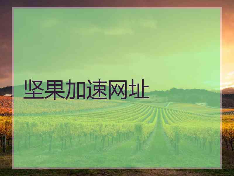 坚果加速网址