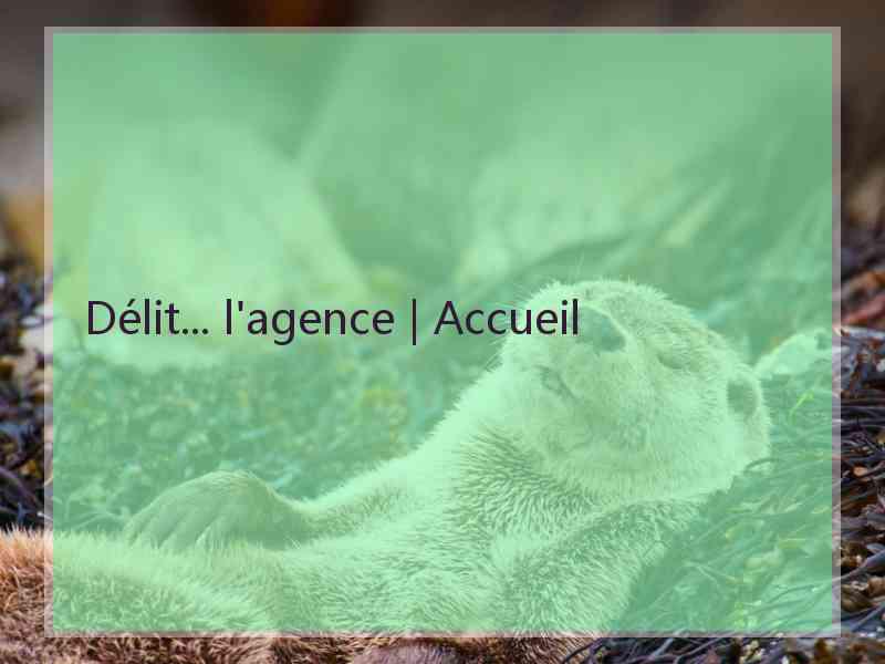 Délit... l'agence | Accueil