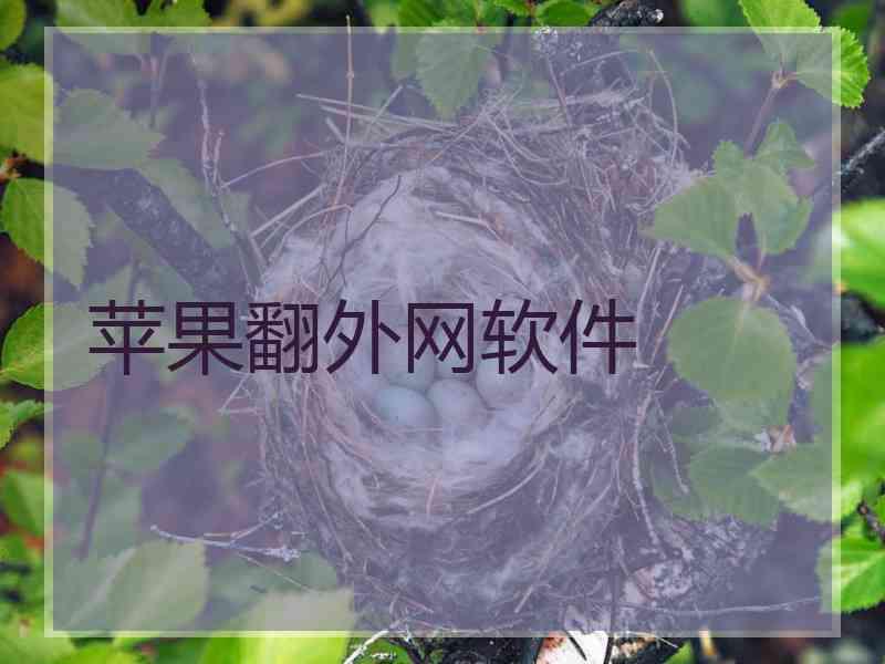苹果翻外网软件